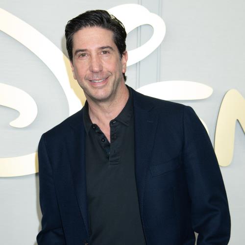 David Schwimmer recalls ‘brutal’ decision to reject Men in Black lead role – Film News | Film-News.co.uk